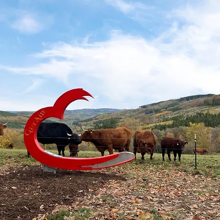 Hotell Gut Ahe Landgasthof Cafe Event Kirchhundem